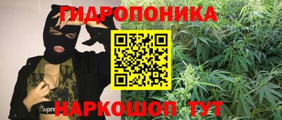 ALPHA-PVP Аша