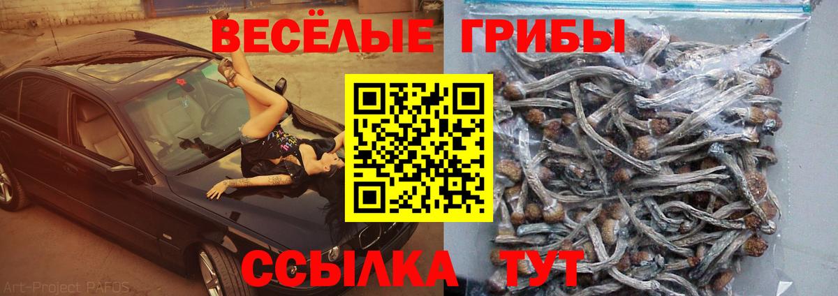 Кохма  Галлюциногенные грибы ЛСД  Галлюциногенные грибы мицелий  купить наркоту  Вход с VPN 